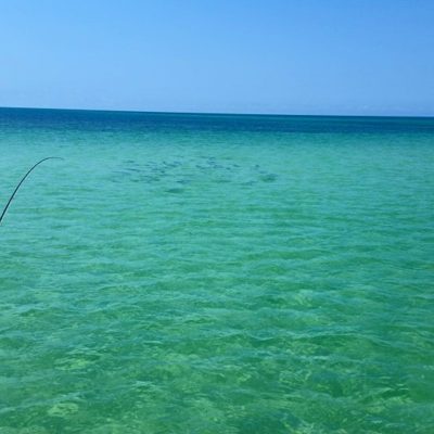 Capt-Ryan-Phinney-Florida-Keys-Flats-Fishing-fly-fishing-tarpon-jumping-clear
